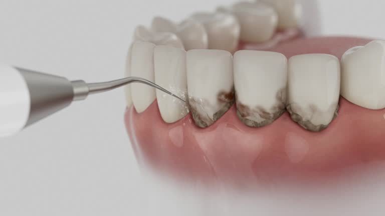 Reliable Dental contractor in Kamas, UT by Dentist Open Now